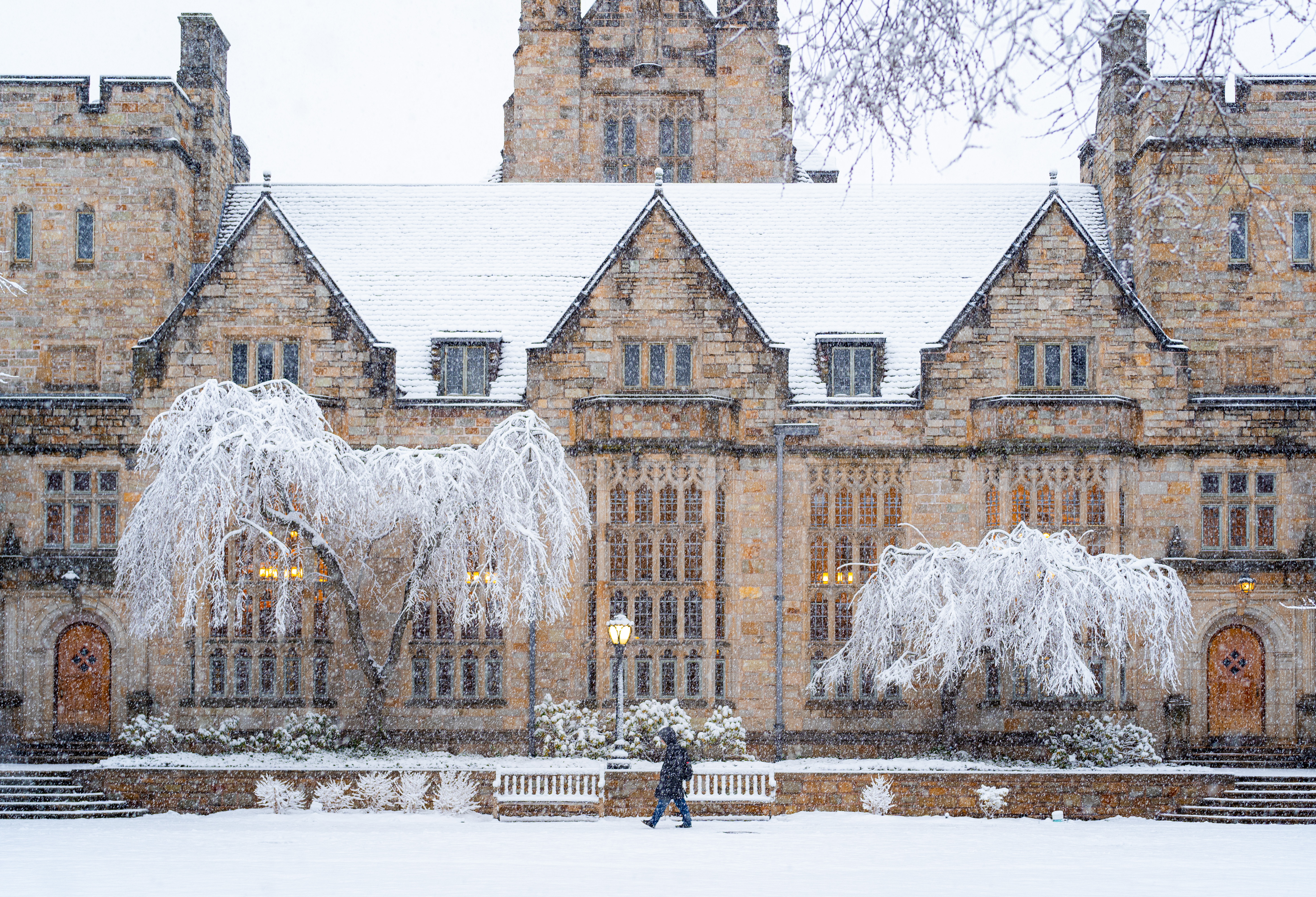 Saybrook college covered in snow