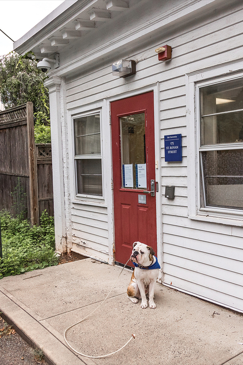 the building at 175 Saint ronan street